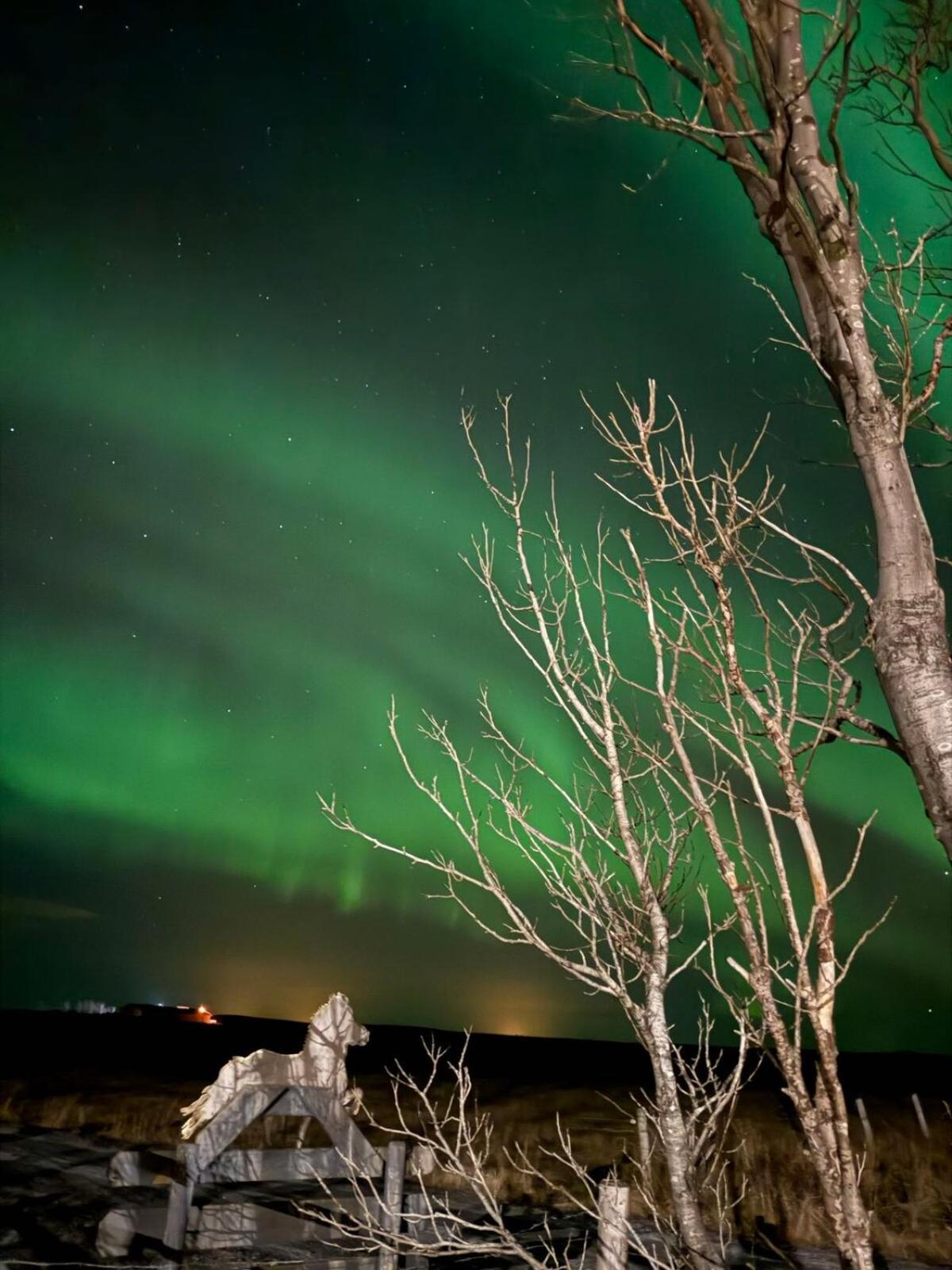 Villa Beautiful Family In South-iceland Perfect For Groups And Families *